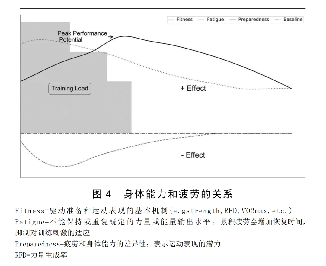 篮球训练营结课总结范文_1